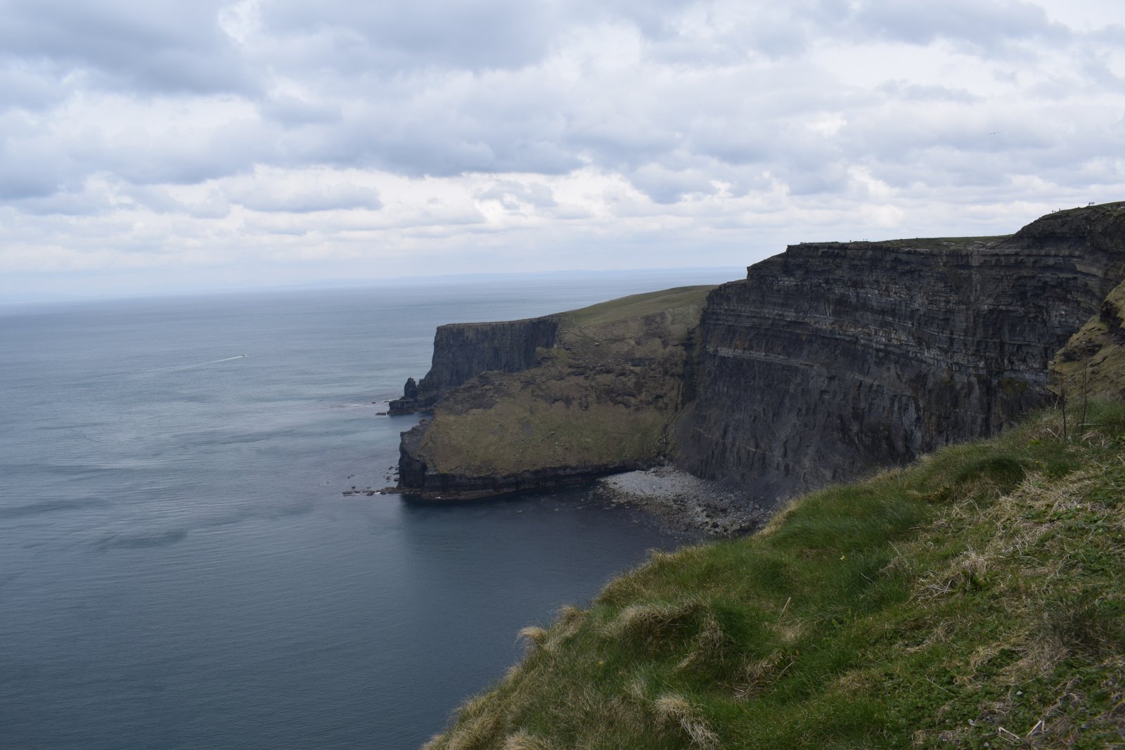 DSC_0270.JPG