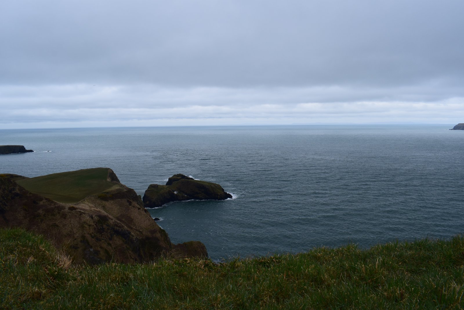 DSC_0785.JPG