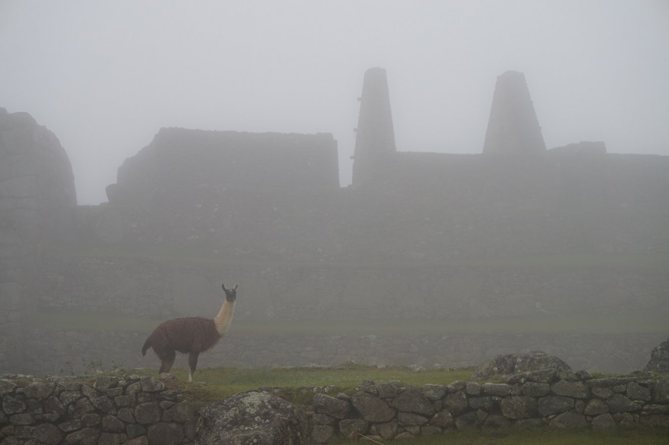 llama mist.JPG