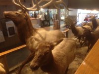 IMG_6762.JPG IMG_6762.JPG