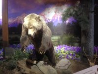 IMG_6766.JPG IMG_6766.JPG
