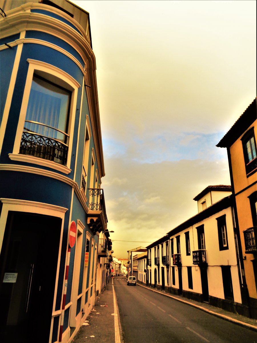 DSC08280 (2).JPG
