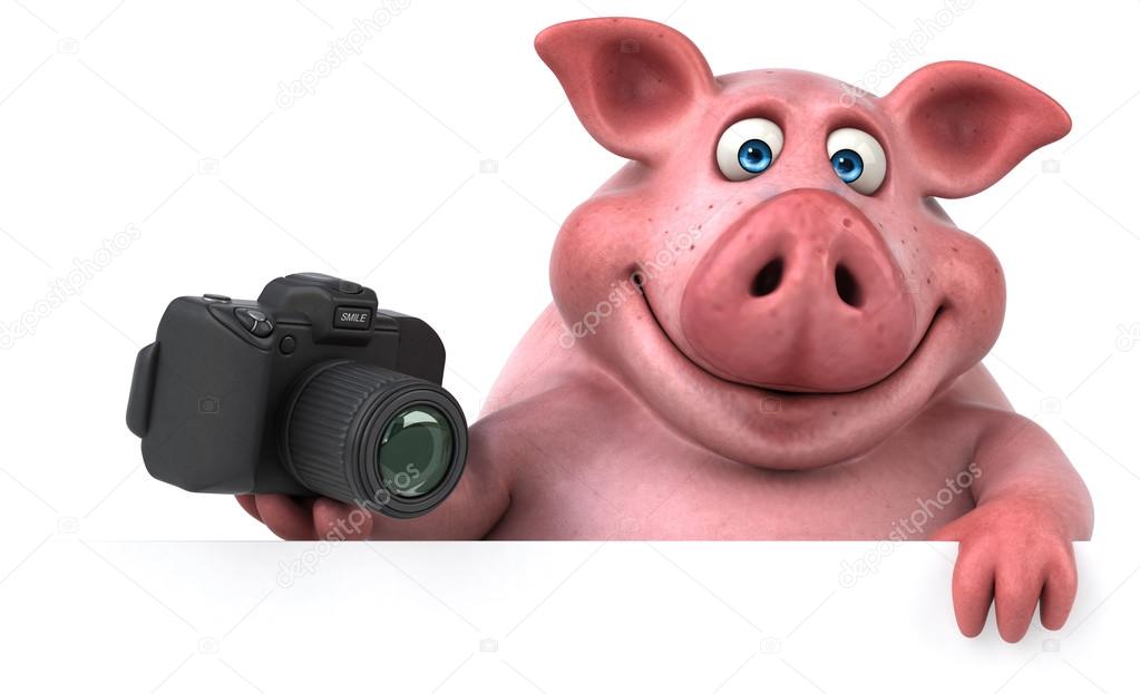 depositphotos_126025940-stock-photo-pig-holding-photo-camera.jpg