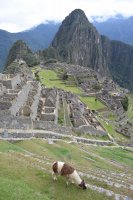 DSC_0279.jpg