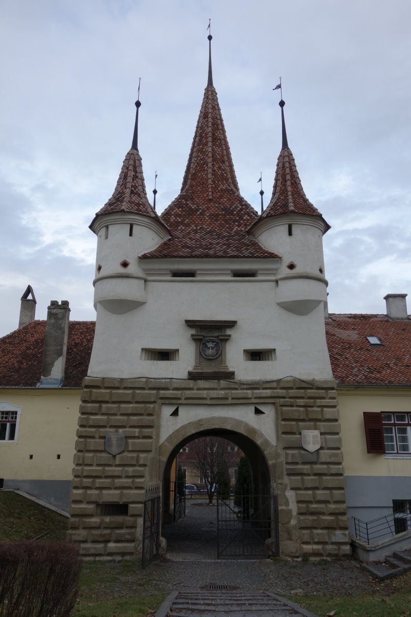 DSC02175.JPG