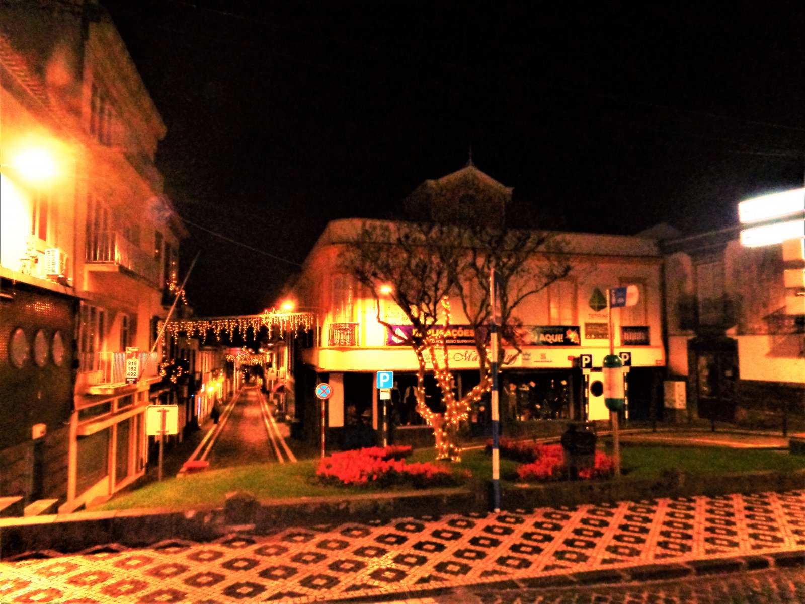 DSC08392 (2).JPG