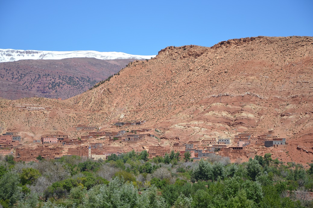 DSC_0820.JPG