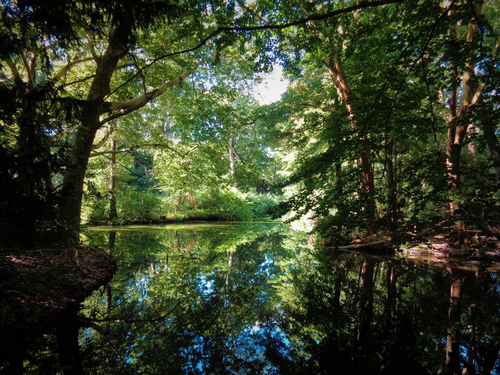 Berlin - Tiergarten 03.JPG