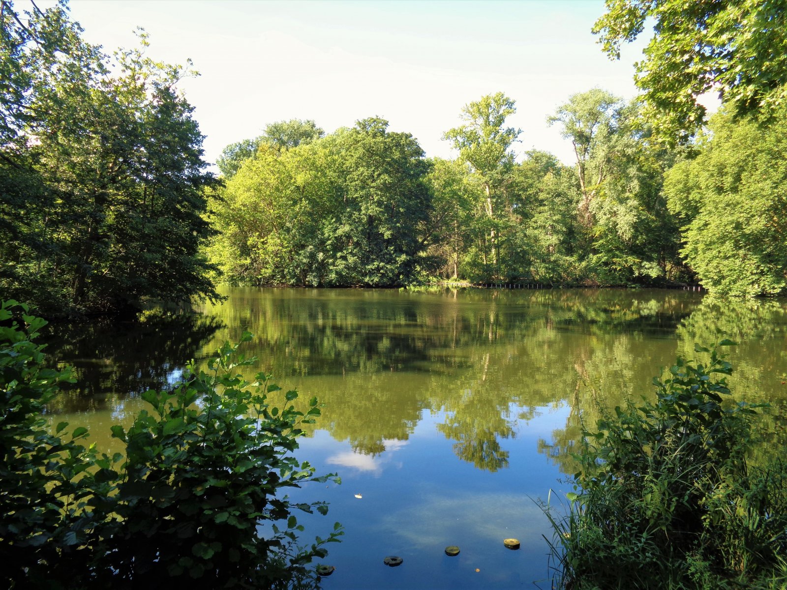 Berlin - Tiergarten 05.JPG