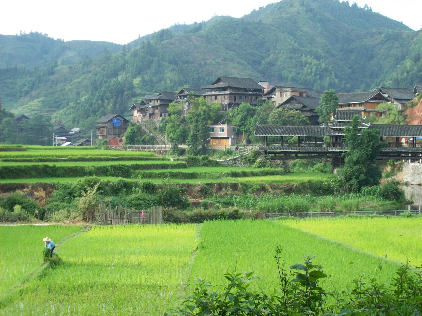 Southern China 2011 296.jpg