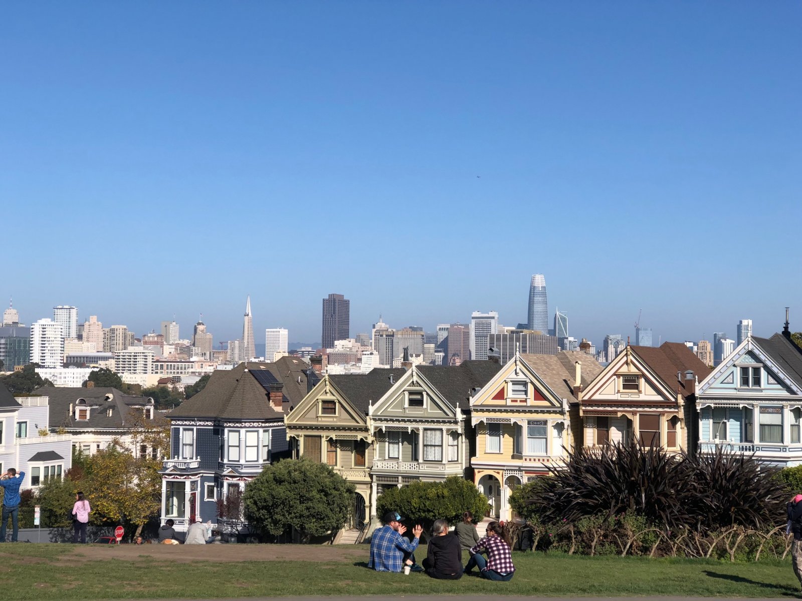 Painted ladies.jpg