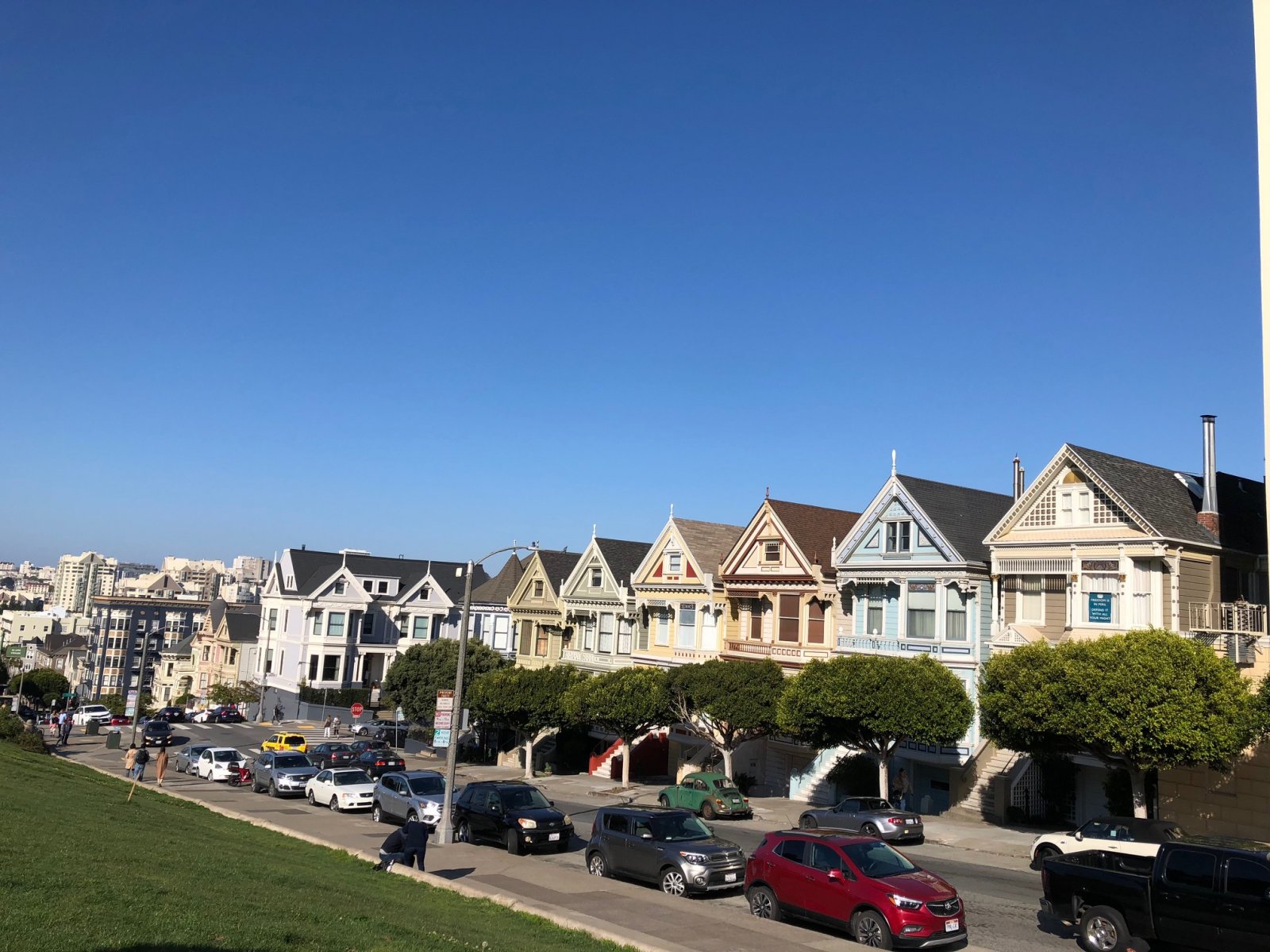 Painted ladies3.jpg