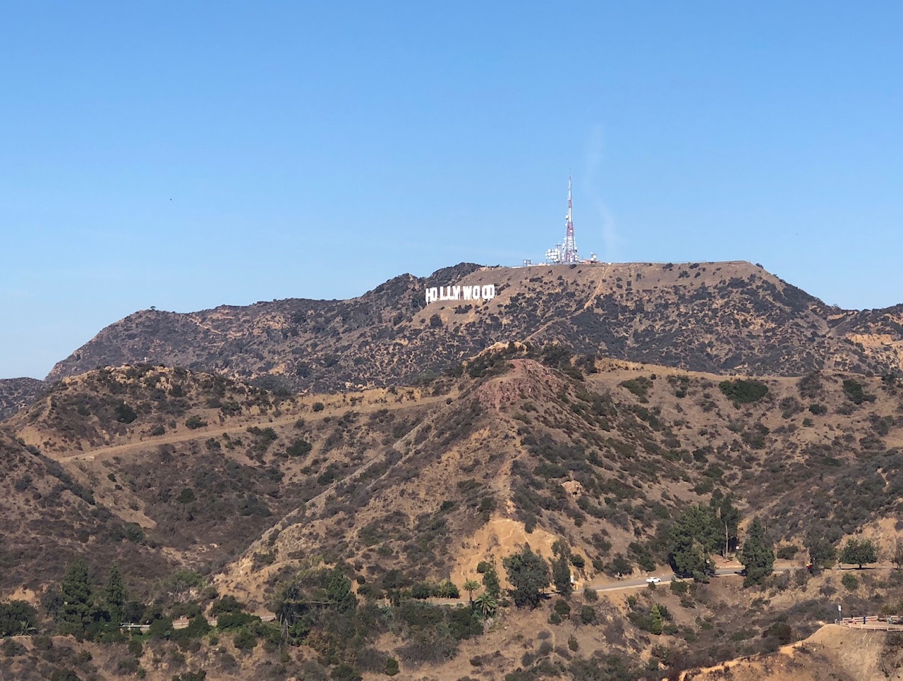 hollywood sign.jpg