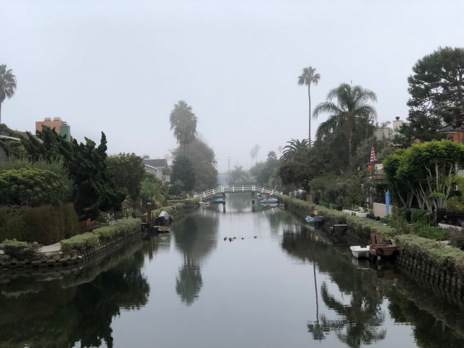 venice canals3.jpg