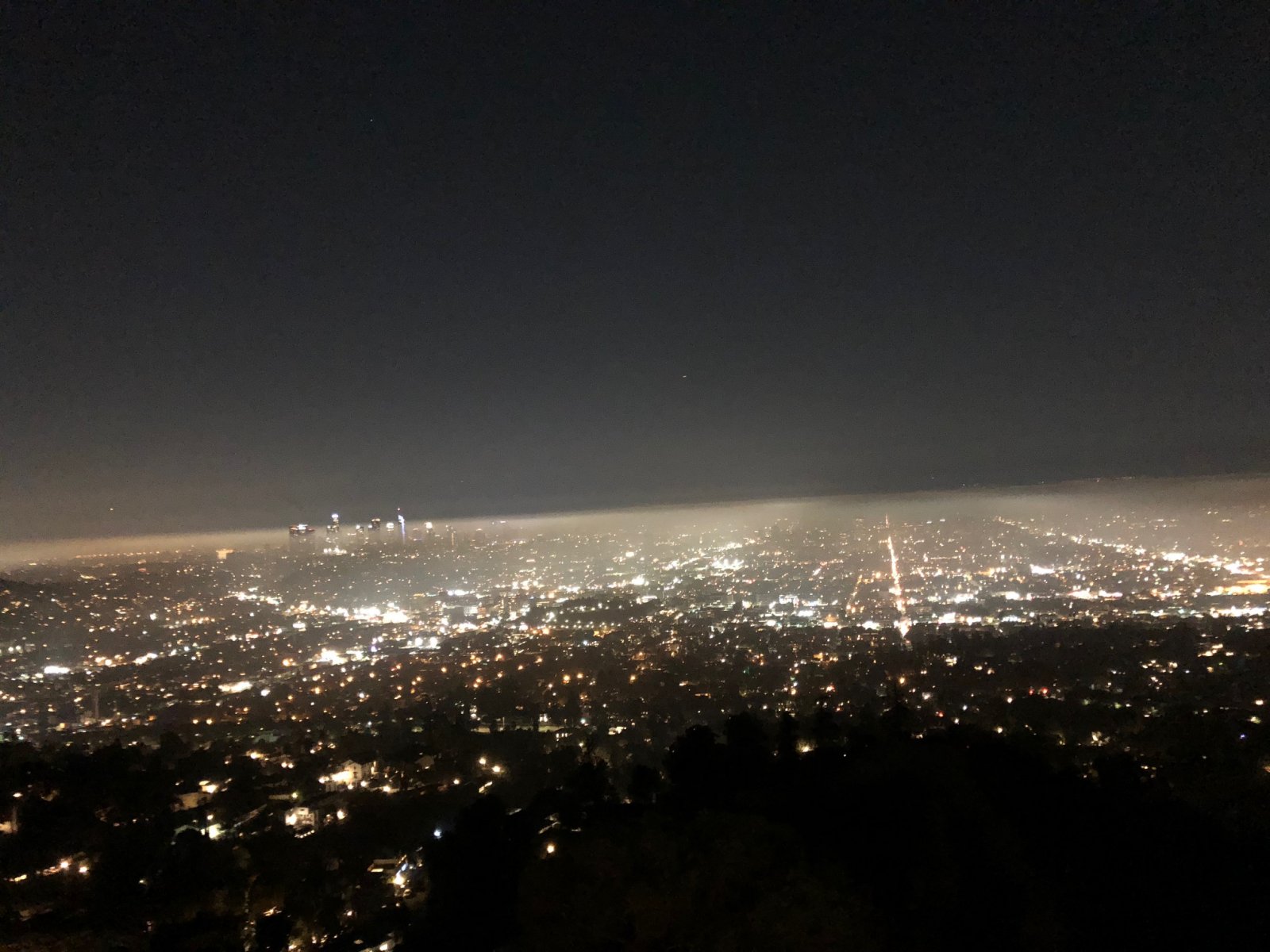 la night.jpg