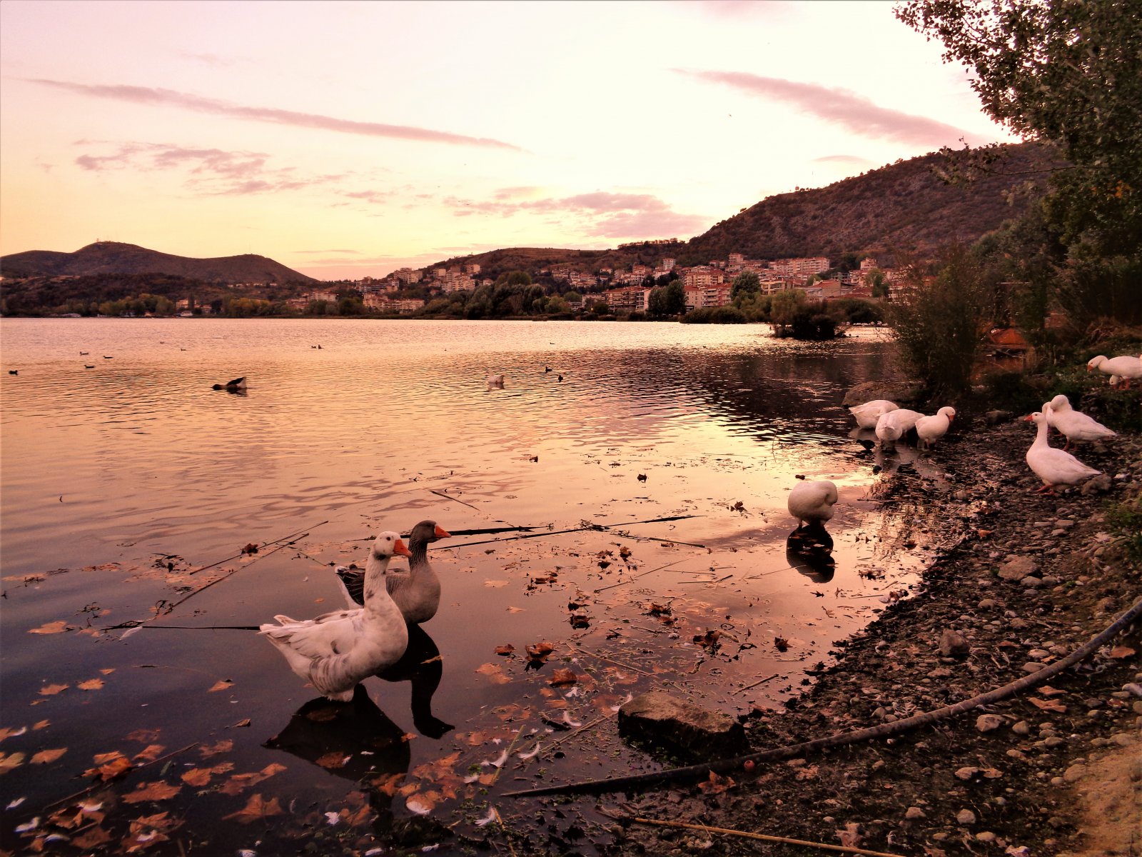DSC01123 (2).JPG