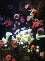 IMG_0806.JPG IMG_0806.JPG