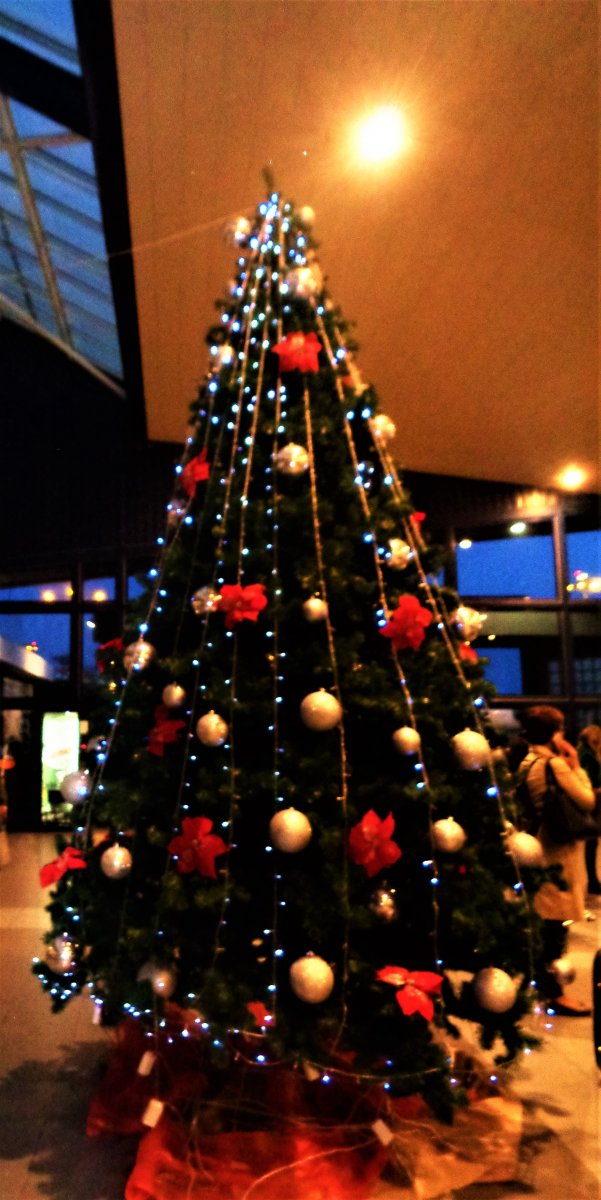DSC07931 (2).JPG