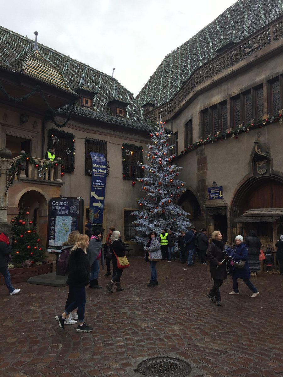 IMG_7761.JPG