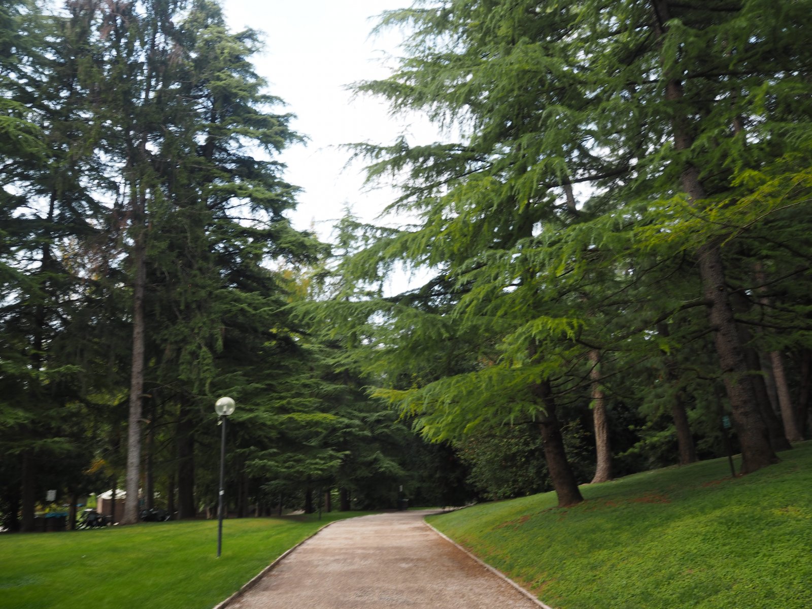 PA081103.JPG