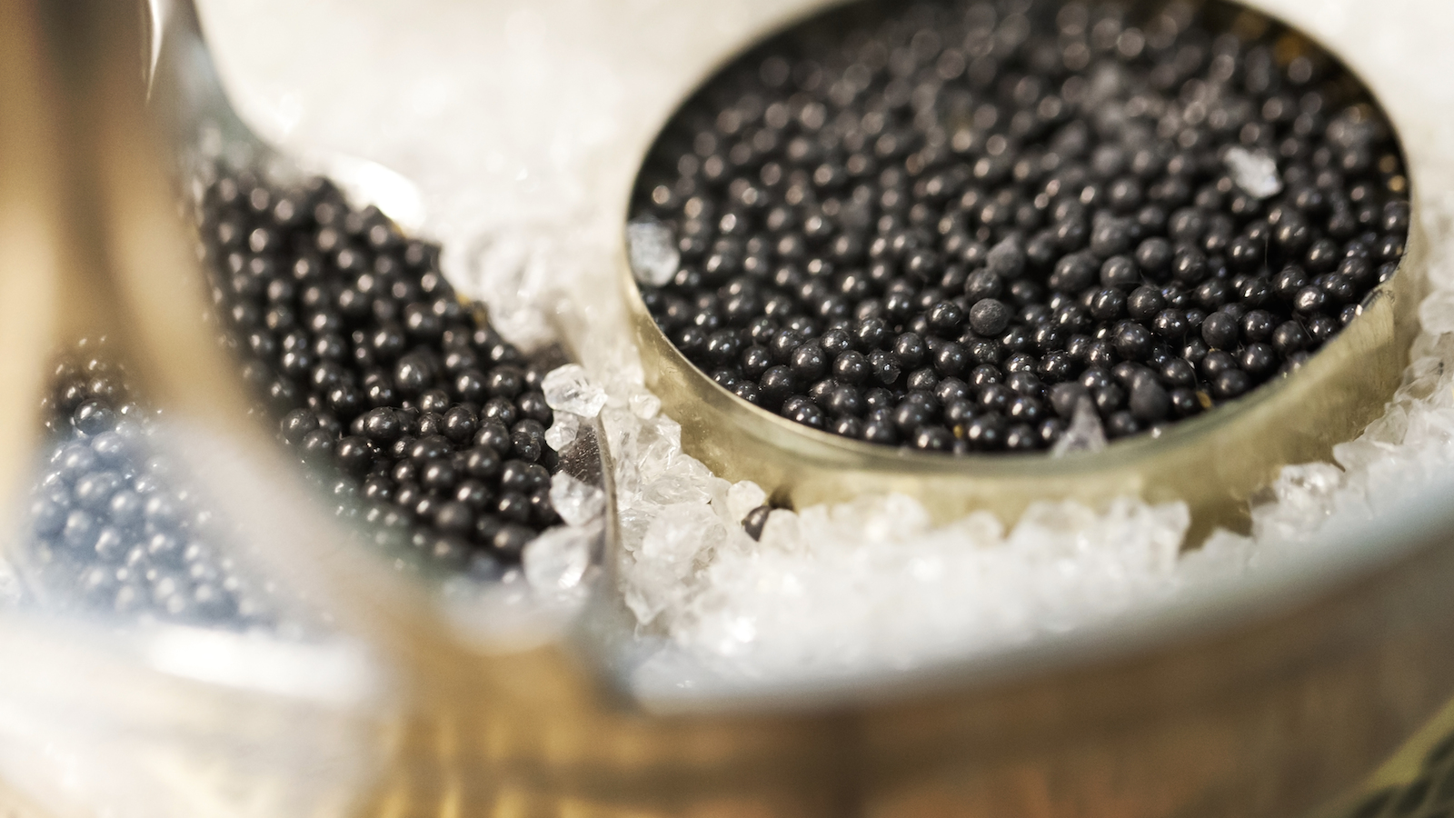 expensive-food-caviar.jpg