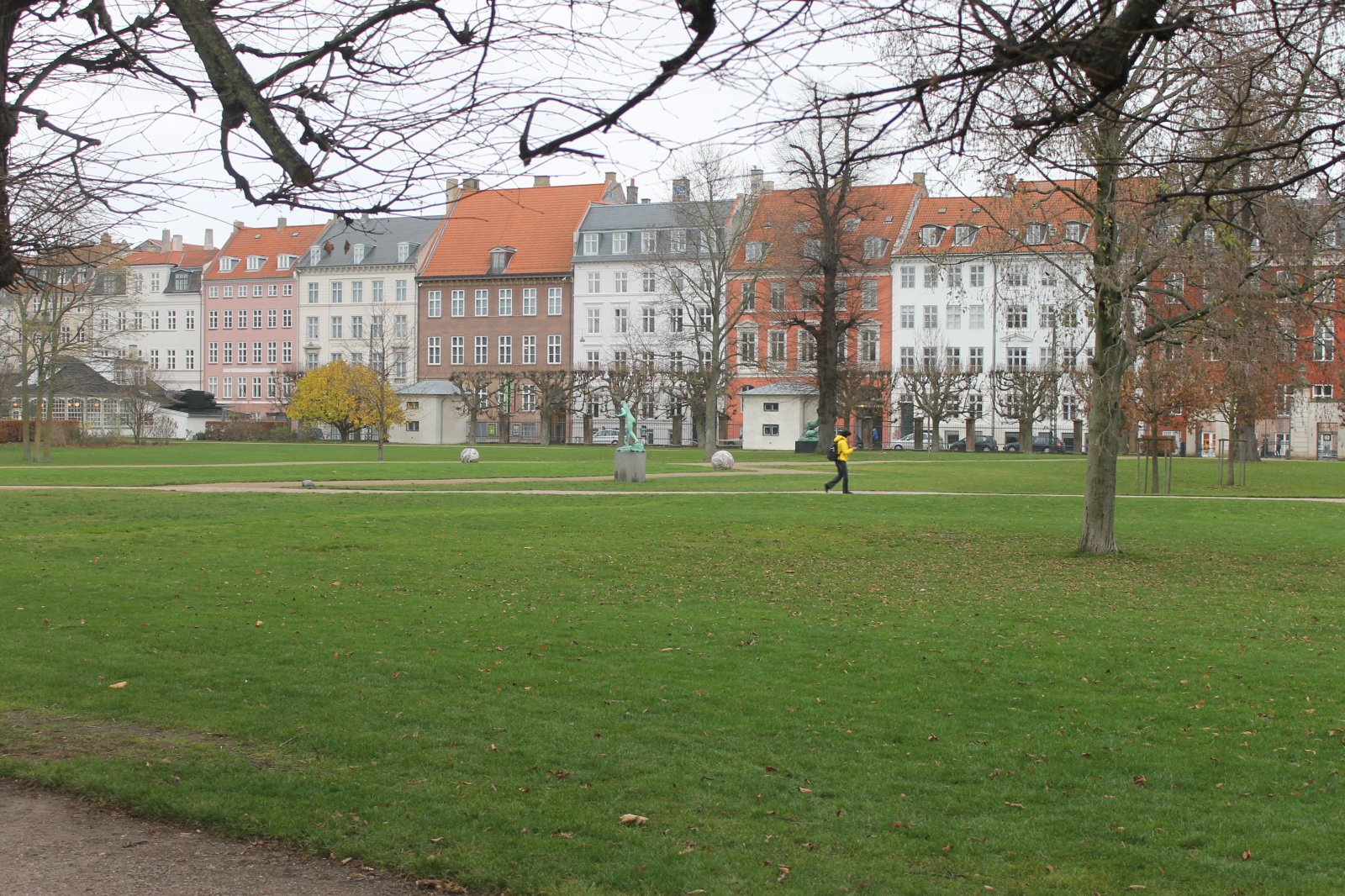 IMG_9564.JPG