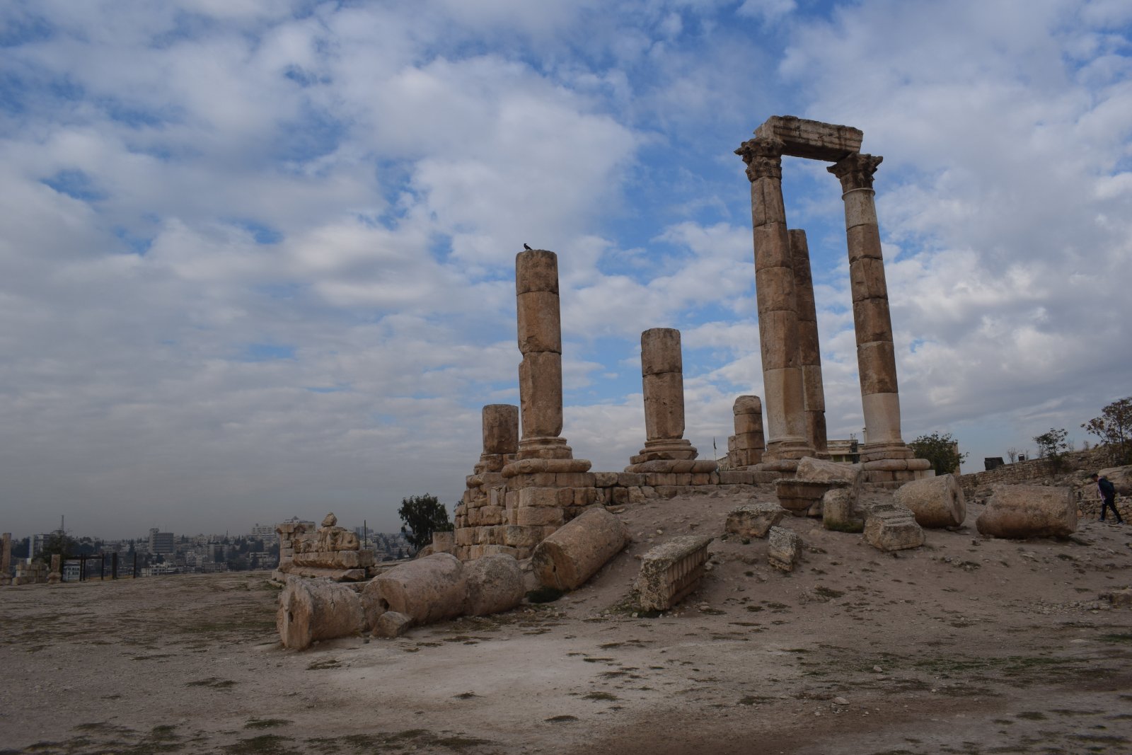 DSC_1981.JPG