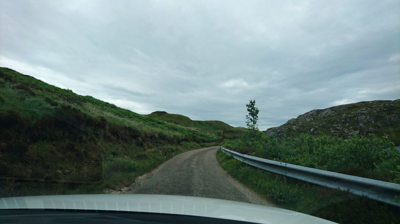 DSC_0697.JPG
