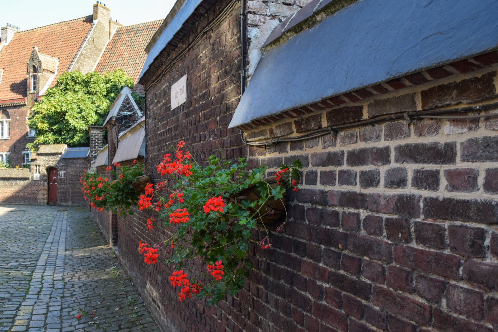 beguinage (8).jpeg