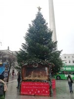 IMG_20181215_112503.jpg IMG_20181215_112503.jpg
