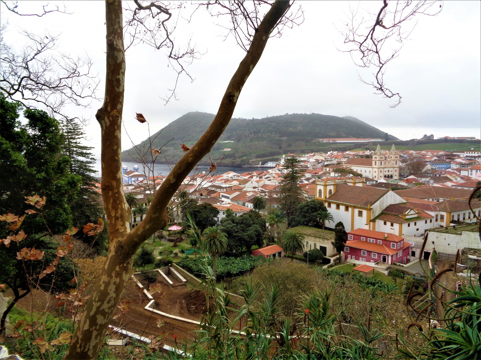 DSC08882 (2).JPG