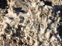 IMG_3193.jpeg IMG_3193.jpeg