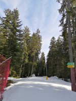 IMG_20190310_102204.jpg