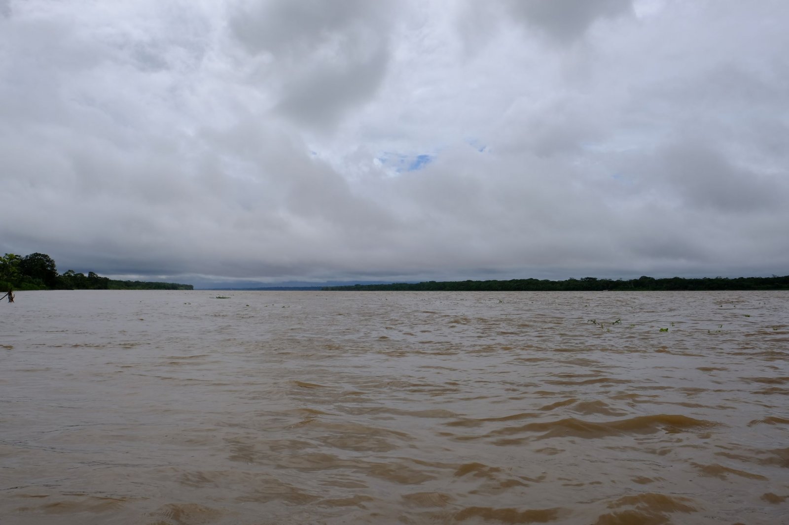 Amazon River.jpg