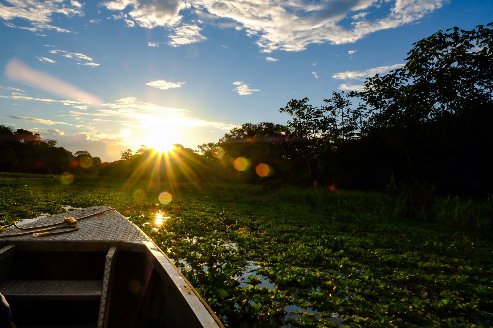 Sunset in the Amazon.jpeg