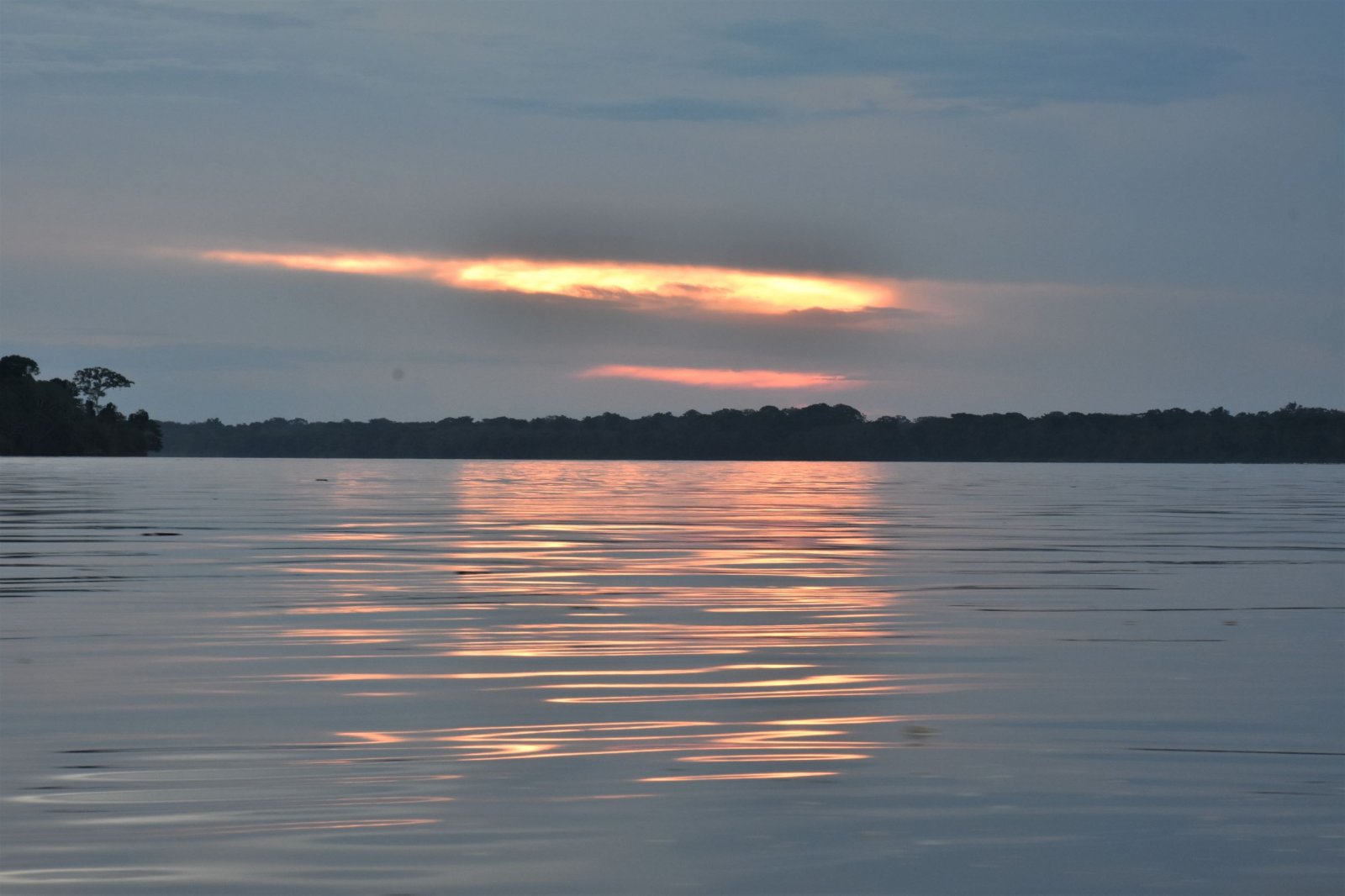 DSC_2791.jpg