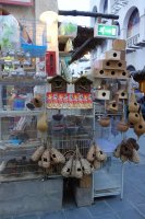 DSC02120.JPG DSC02120.JPG