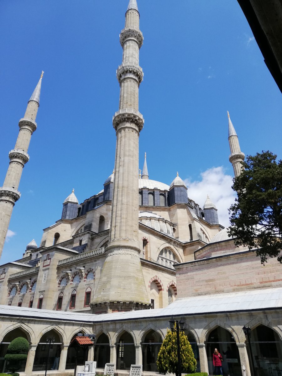 IMG_20190420_123707.jpg