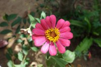 DSC01428.JPG