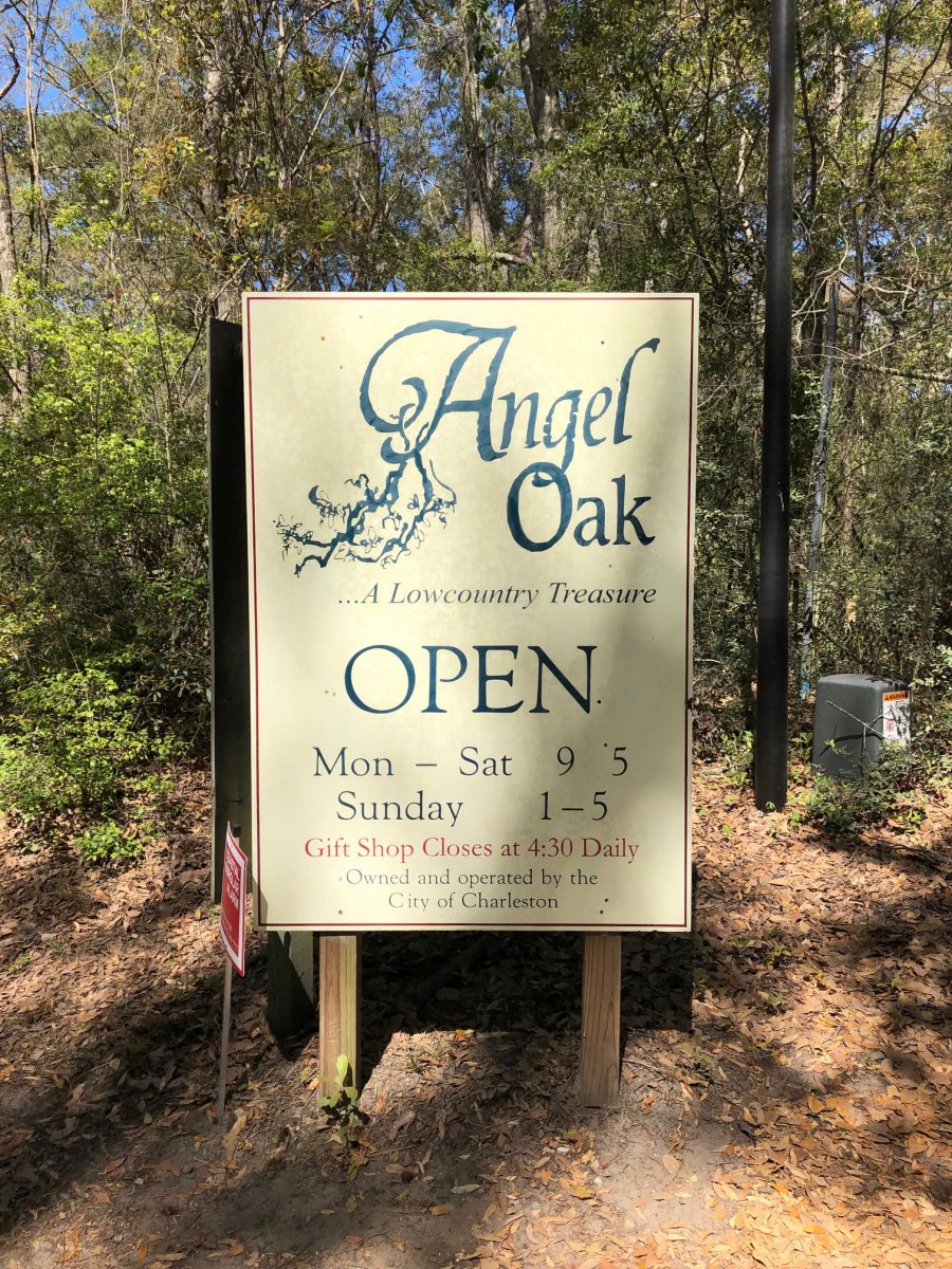 angel oak 6.jpg