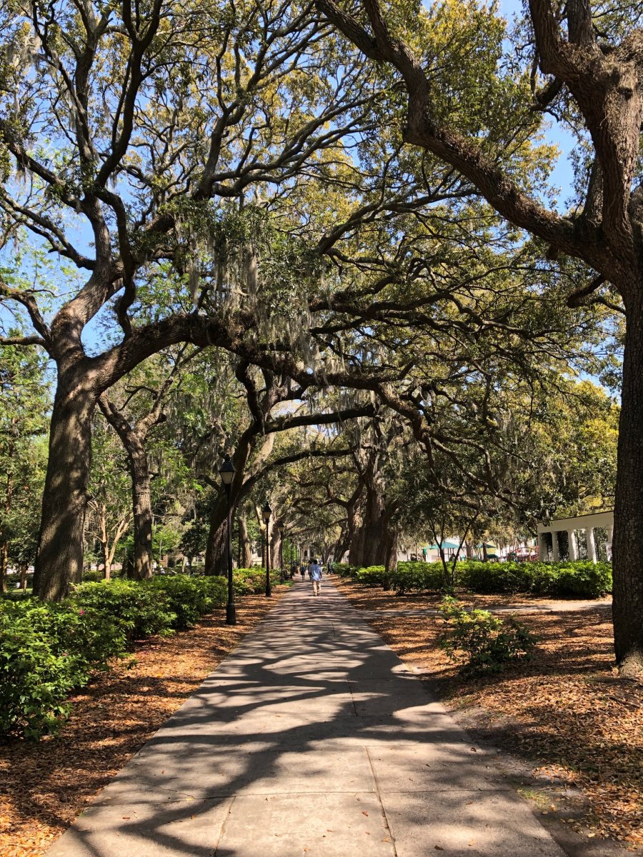 forsyth park 1.jpg