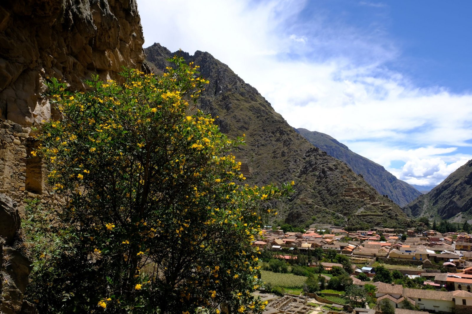 DSCF5127.jpg