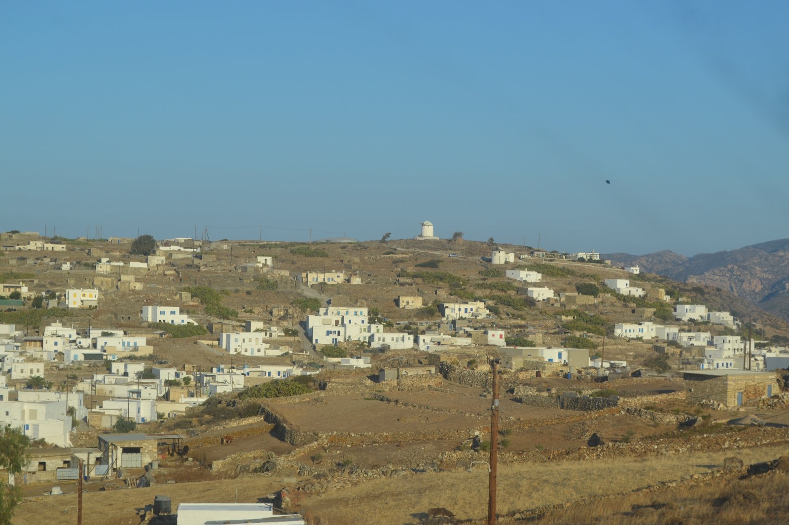 DSC_0223.JPG