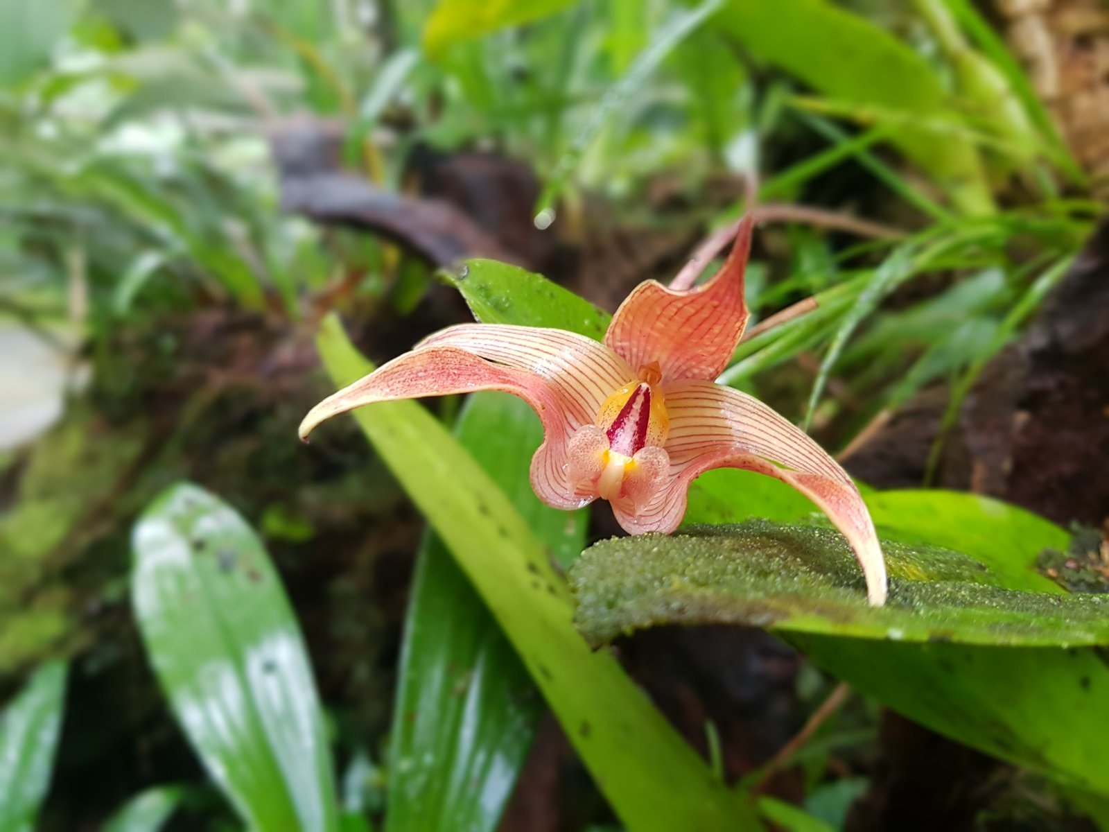 20190709_135952.jpg