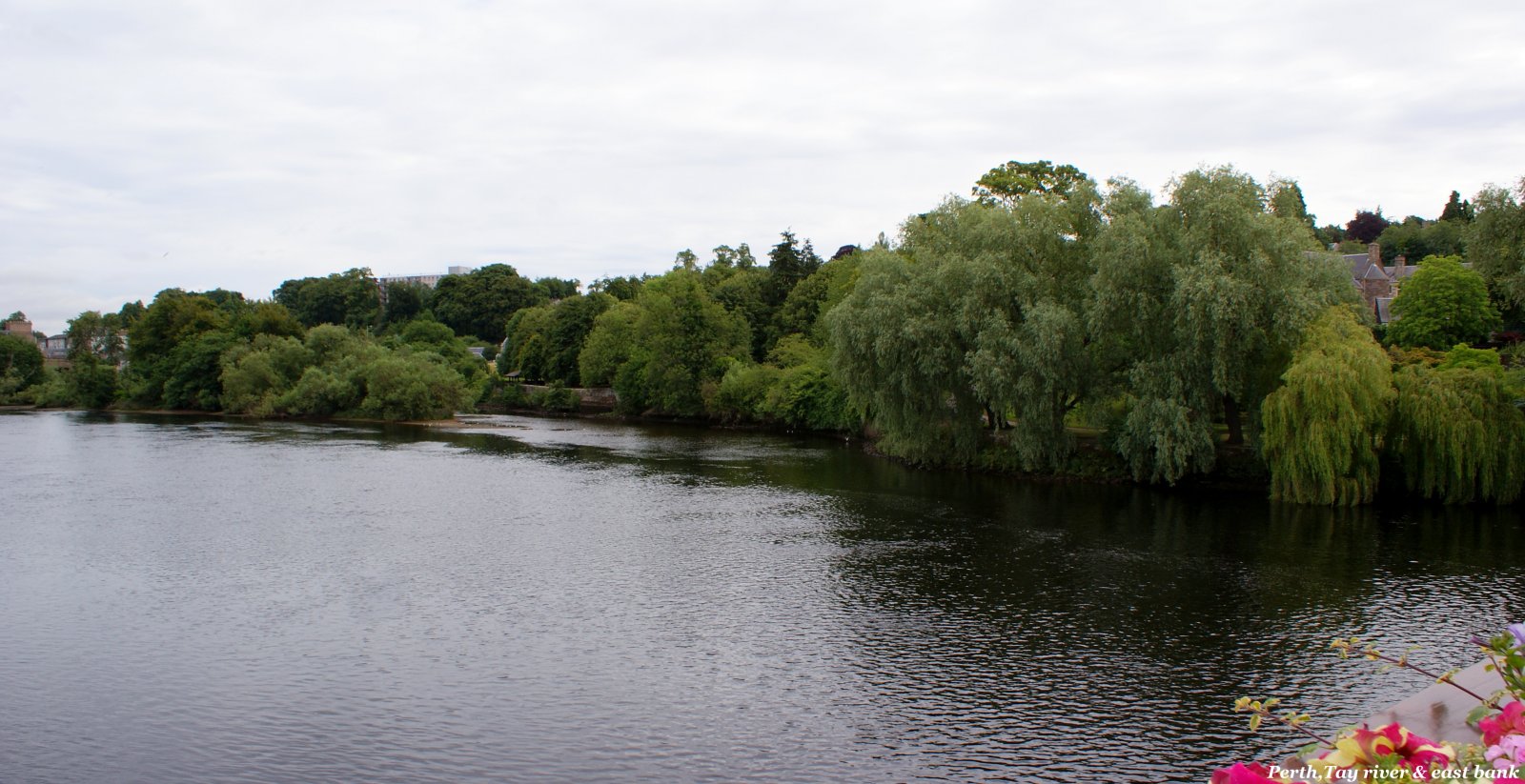 DSC03538 Perth,Tay river & Norie Miller Park.jpg