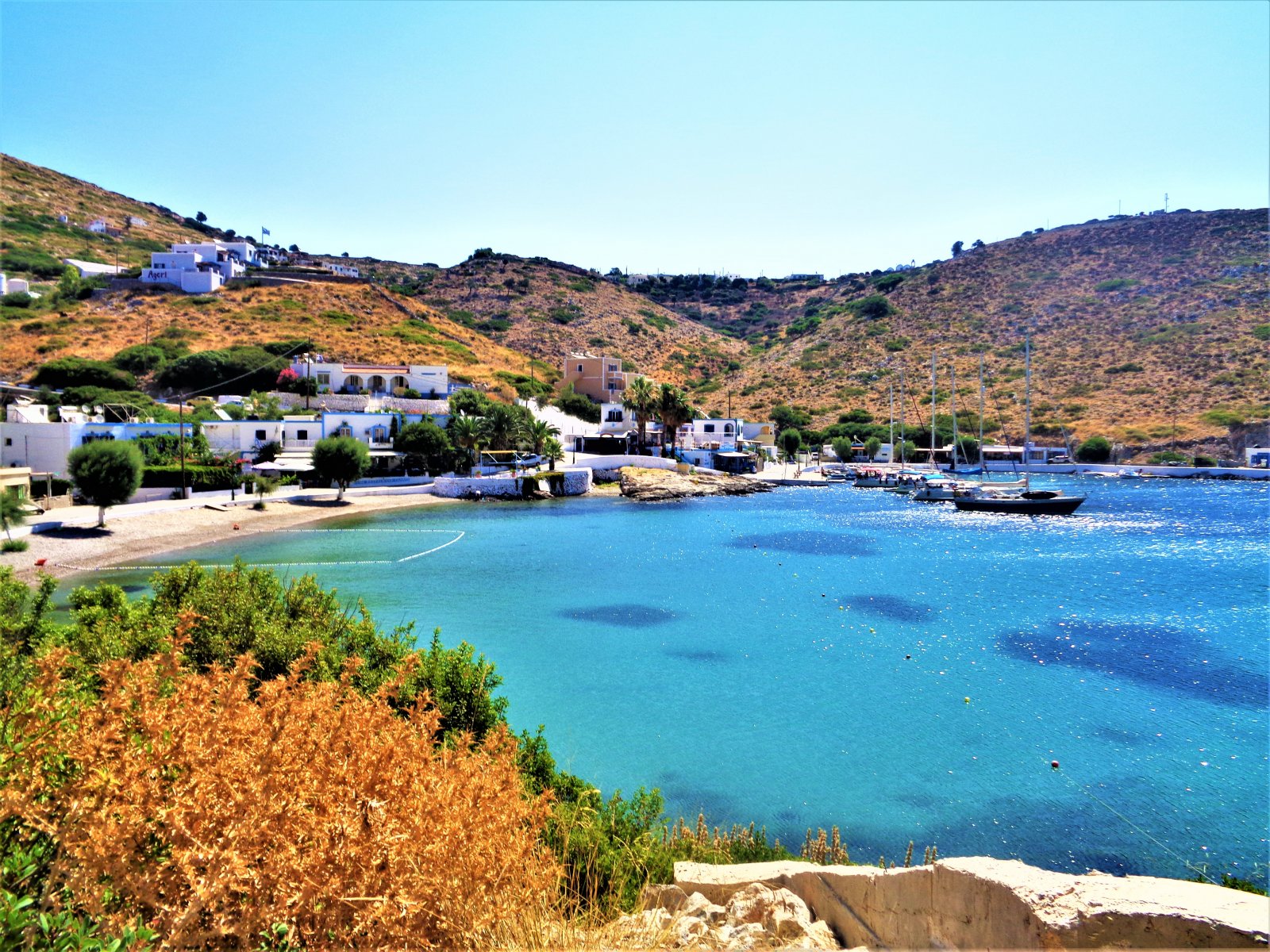 DSC03347 (2).JPG