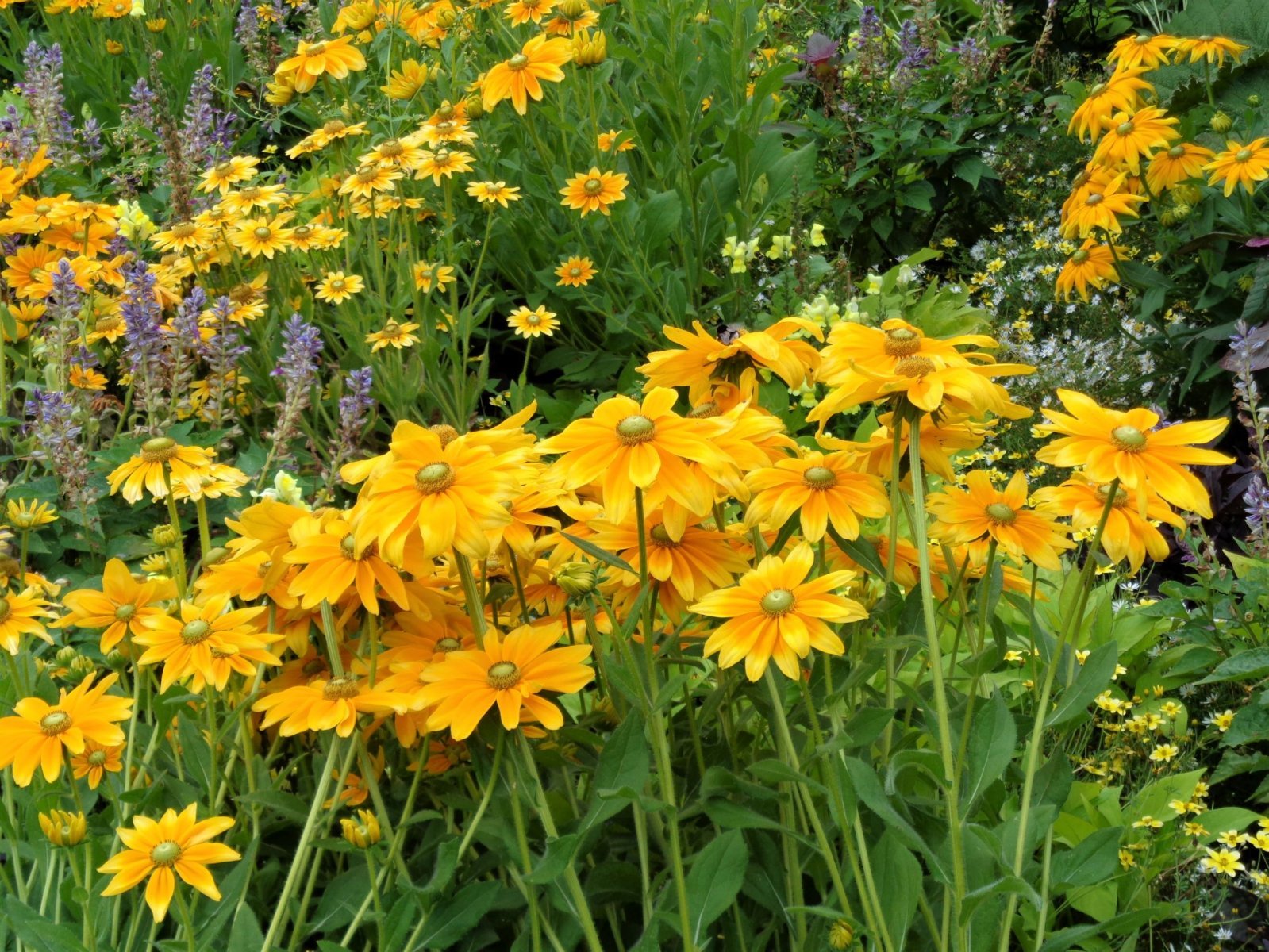 Hamburg - Planten un Blomen 21.JPG