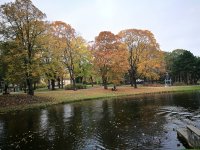 IMG_20181011_123649.jpg IMG_20181011_123649.jpg