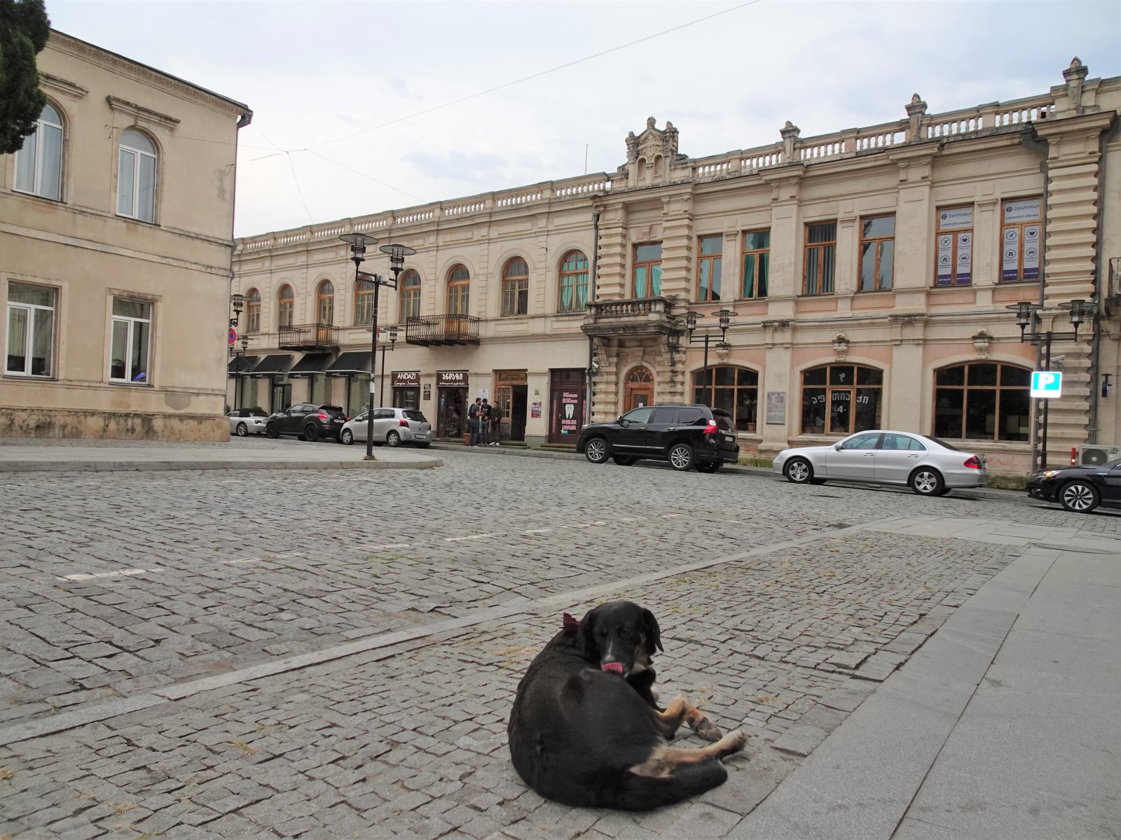 DSC00130 (2).JPG