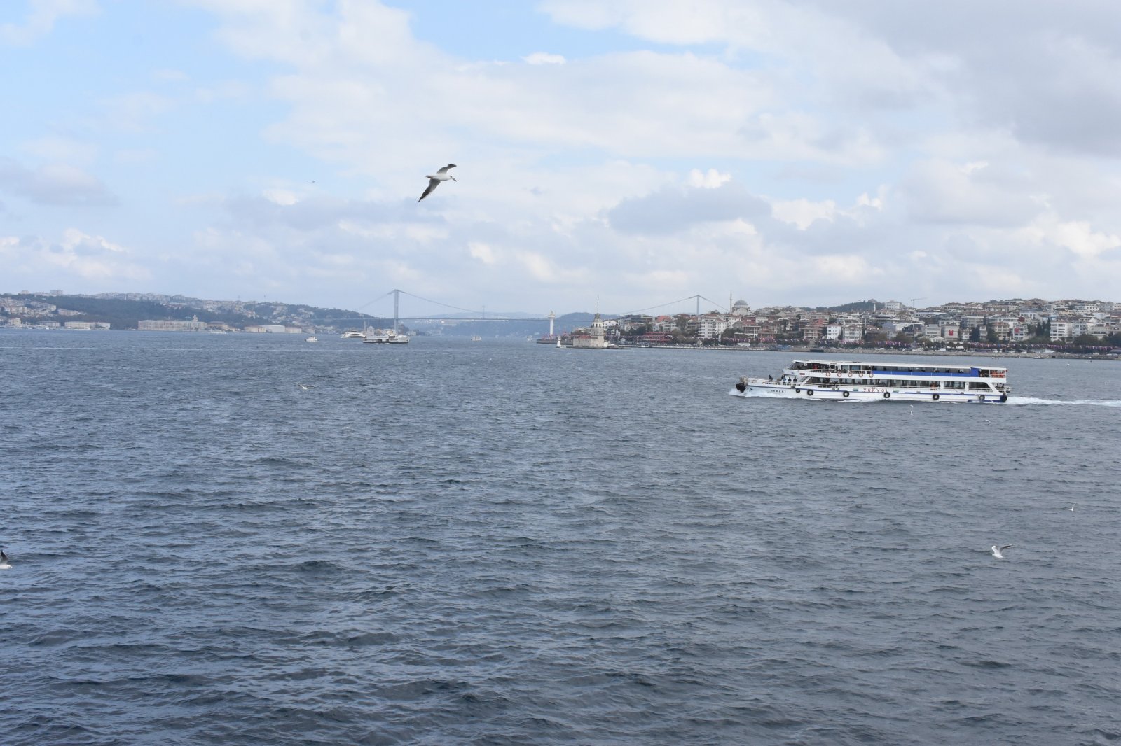 DSC_9321.JPG